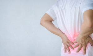 Back Pain You Might Back Pain You Might